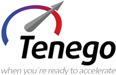 Tenego Partnering Logo